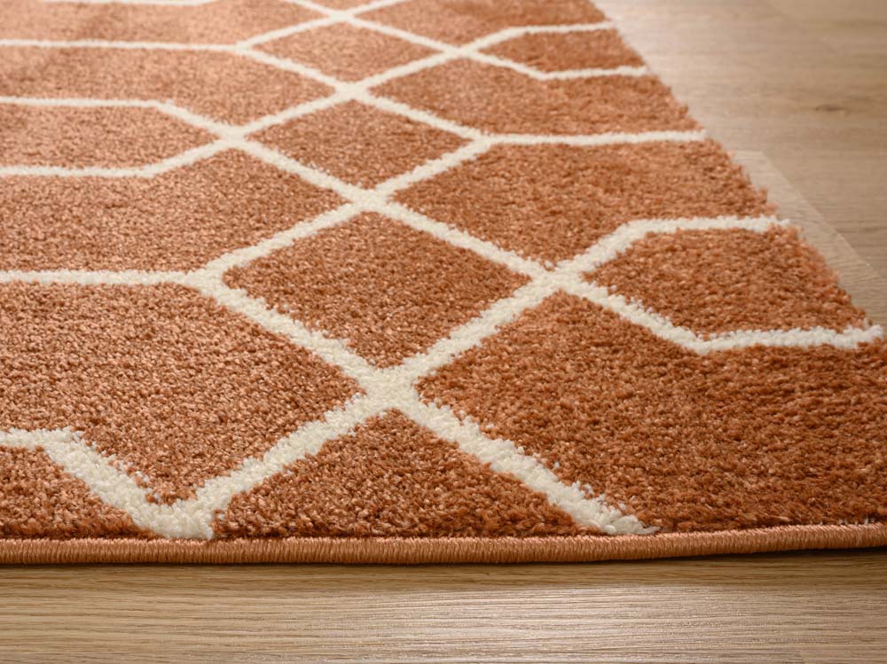 Passatoia geometrica - Aria rame - close up Passatoia geometrica - Aria rame - close up