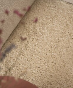 Tappeto a pelo lungo Shaggy Trend - Crema - close up