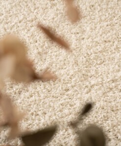 Tappeto a pelo lungo Shaggy Trend - Avorio - close up, thumbnail Tappeto a pelo lungo Shaggy Trend - Avorio - close up, thumbnail