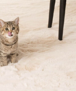 Tappeto soffice a pelo lungo - Comfy Plus - Crema